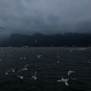 偷拍偷窥少女肏屄
